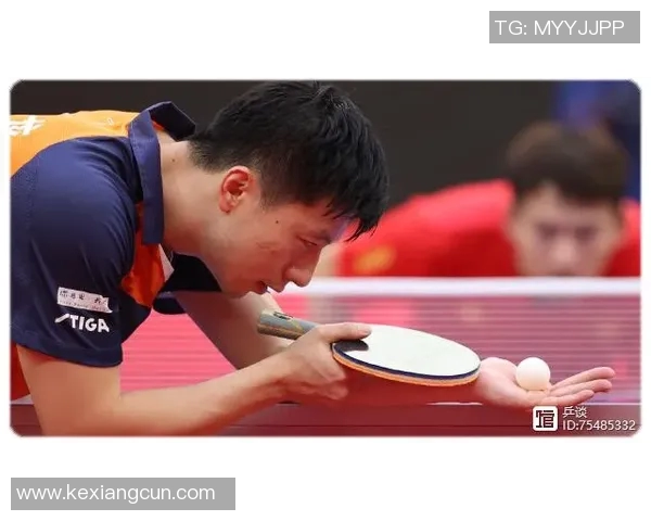 对话张芳：回顾乒乓球生涯的辉煌与挑战之路